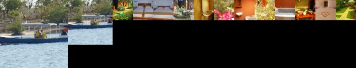 The Local Menjangan Homestay