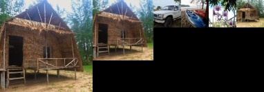 Mr Chuoi Bar and Hut