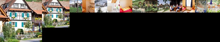 Weingut Alfred Huber