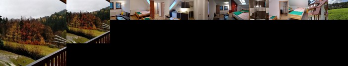 Apartament nr 6