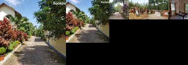 Green Retreat Second Home