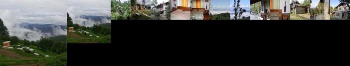 Frozen Woods Resorts