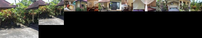 Surya homestay Antasari