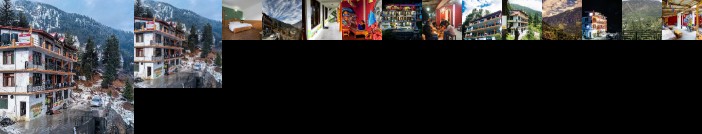 Backpacker Panda Manali