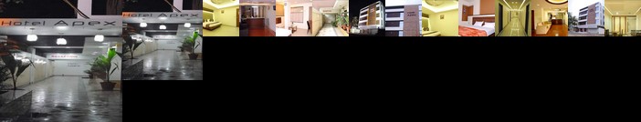 Hotel Apex Ankleshwar