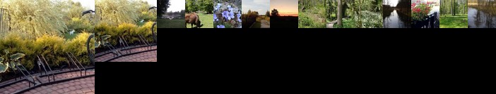 Cztery Pory Roku Bialowieza