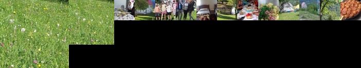 Guesthouse Dritan Tethorja