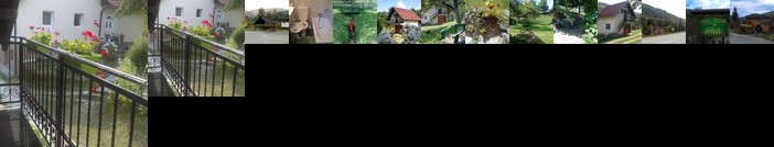 Guesthouse Ana Mokra Gora
