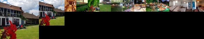 Domacinstvo Cikic Zasavica