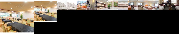 Tokyo Daiichi Hotel Shinshirakawa