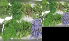 Ichifusa Kanko Hotel