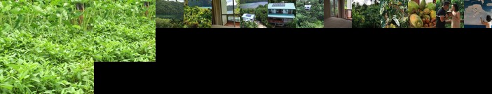 The Dudek's Nest B&B