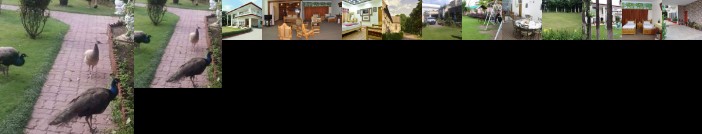 Alaf Laila Guest House