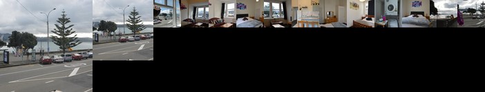 The Bay House Wellington