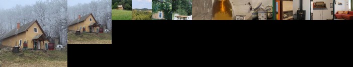 Cottage by the woods