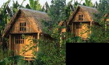 Kalitusi Backpackers