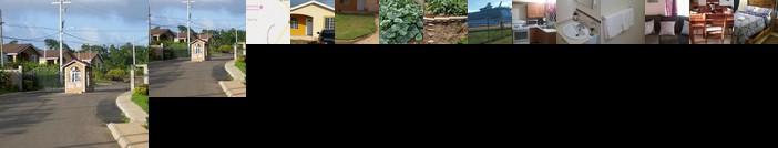 Olliviere's Falmouth Garden