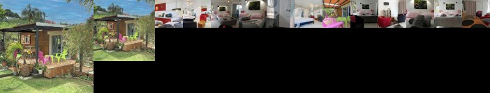 Le Bambou Les Aviron