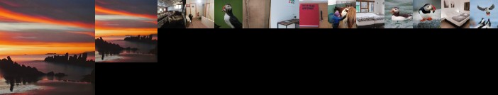 Puffin Palace Guesthouse