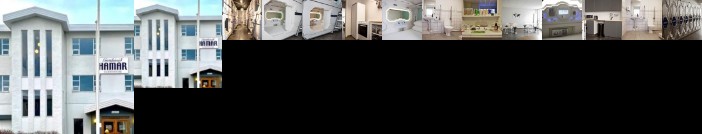 Puffin Nest Capsule Hostel