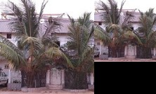 Maison d'Hotes La Mboroise