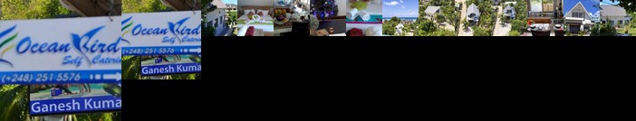 Ocean Bird & Wanita's Self Catering