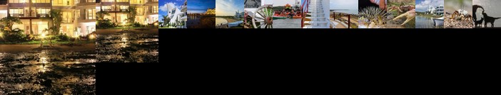 Migrator Intertidal Homestay