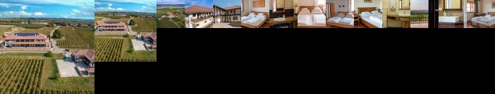 Ebner Pince - Panzio