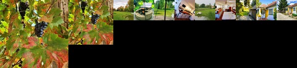 Kis-Tisza Udulohaz es Horgasztanya