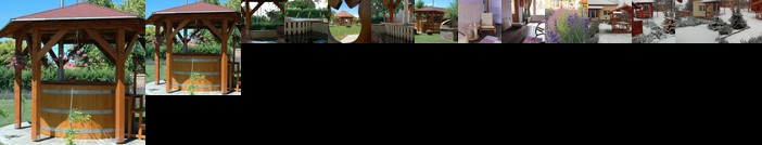 Levendula Vendeghaz Tiszaderzs