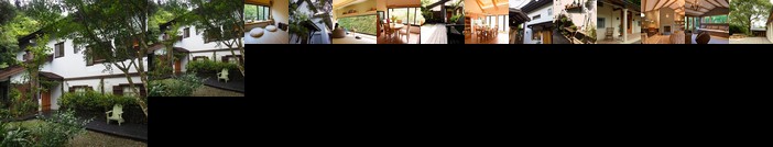 Adagio Reindeer Taichung Herb House