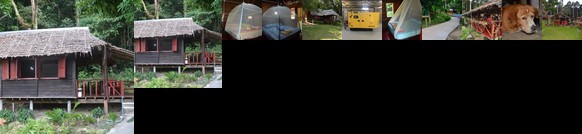 Paradise Lost Resort