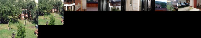 Julia Vendeghaz Matraszentimre