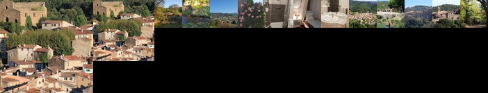 La petite chataigne de Collobrieres