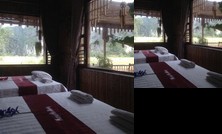 Tam Coc Mountain View Homestay