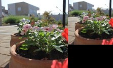 Apartments Elvira Zaton