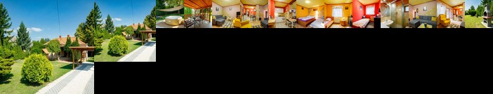 Kristof Vendeghaz Balatonmariafurdo