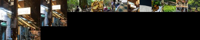 Moonshadow Su-ngai Kolok