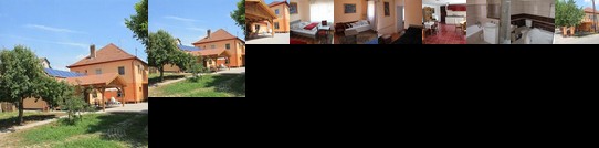 Diofa Vendeghaz Bukkszek