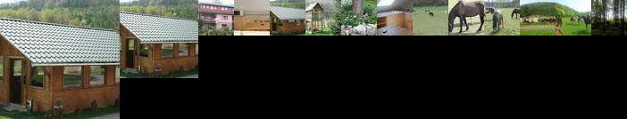 Gadanyi Vendeghaz es Lovarda