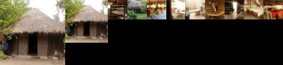 Eco Hotel Las Palmeras