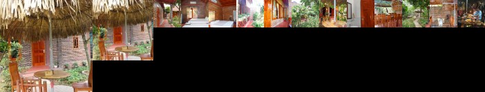 Van Long Family Homestay
