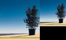 Jiuhuashan Quanmei Inn