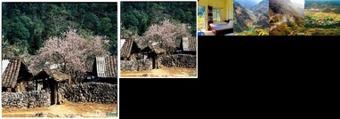 Huyen Tram Guesthouse