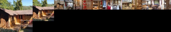 Le Coeur De La Foret