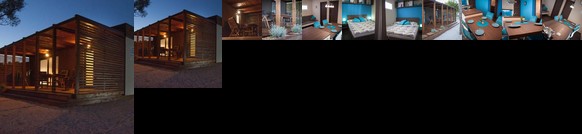 Mobile Home Sea Shell