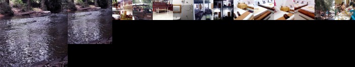 Eagle Safari Family Bungalow