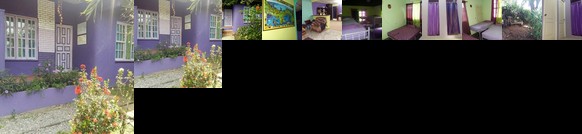 The Purple House International Backpacker Hostel
