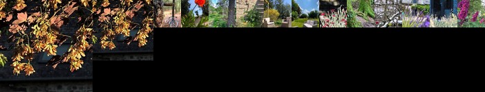 L'Hotie de Broceliande