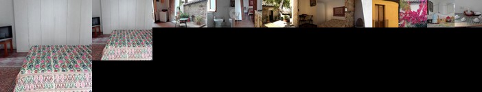 L'albero di Giuggiole